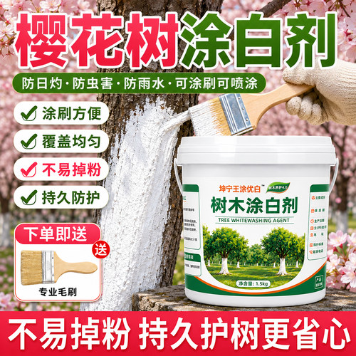 樱花树果树专用涂白剂树木树干防寒防冻防虫园林盆景刷白石灰粉剂