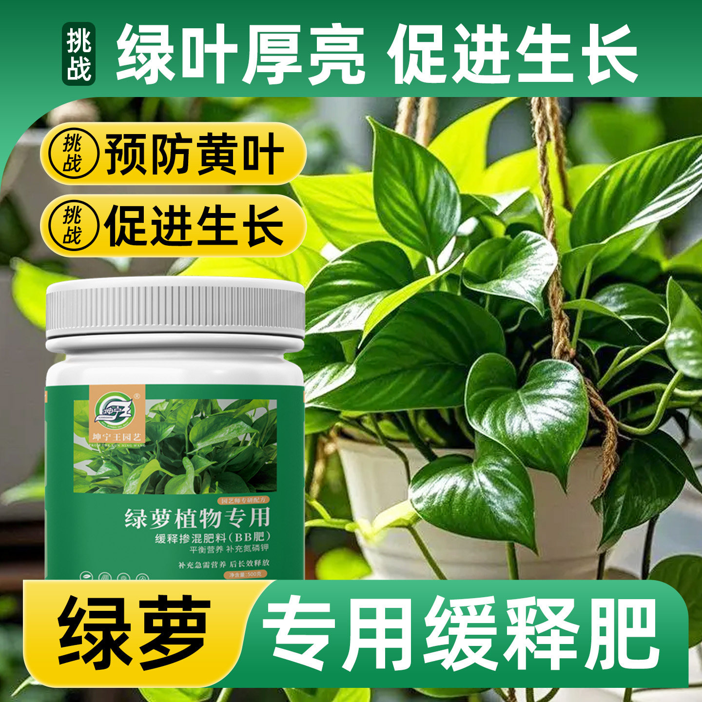 绿萝专用肥料复合肥花肥肥料通用养花肥料蔬菜农用种菜花卉专用,鲜花速递/花卉仿真/绿植园艺,家庭园艺肥料,淘宝优惠券,粉丝福利购,淘宝优惠卷