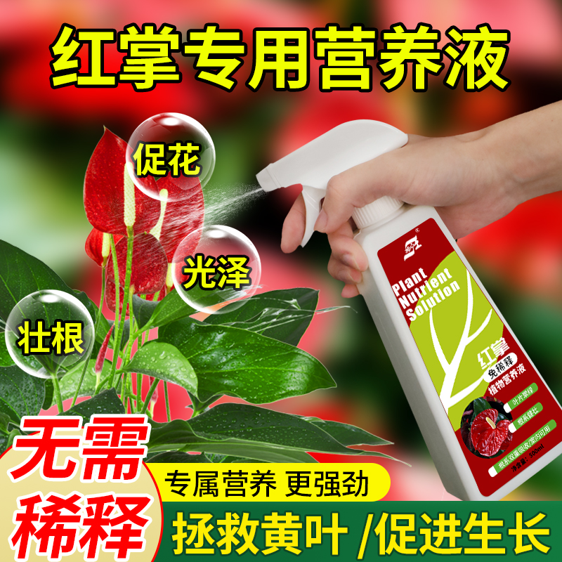 红掌专用免稀释营养液液体肥