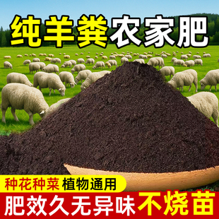 羊粪发酵有机肥料蔬菜专用有机肥100斤花卉专用干花肥纯颗粒批发