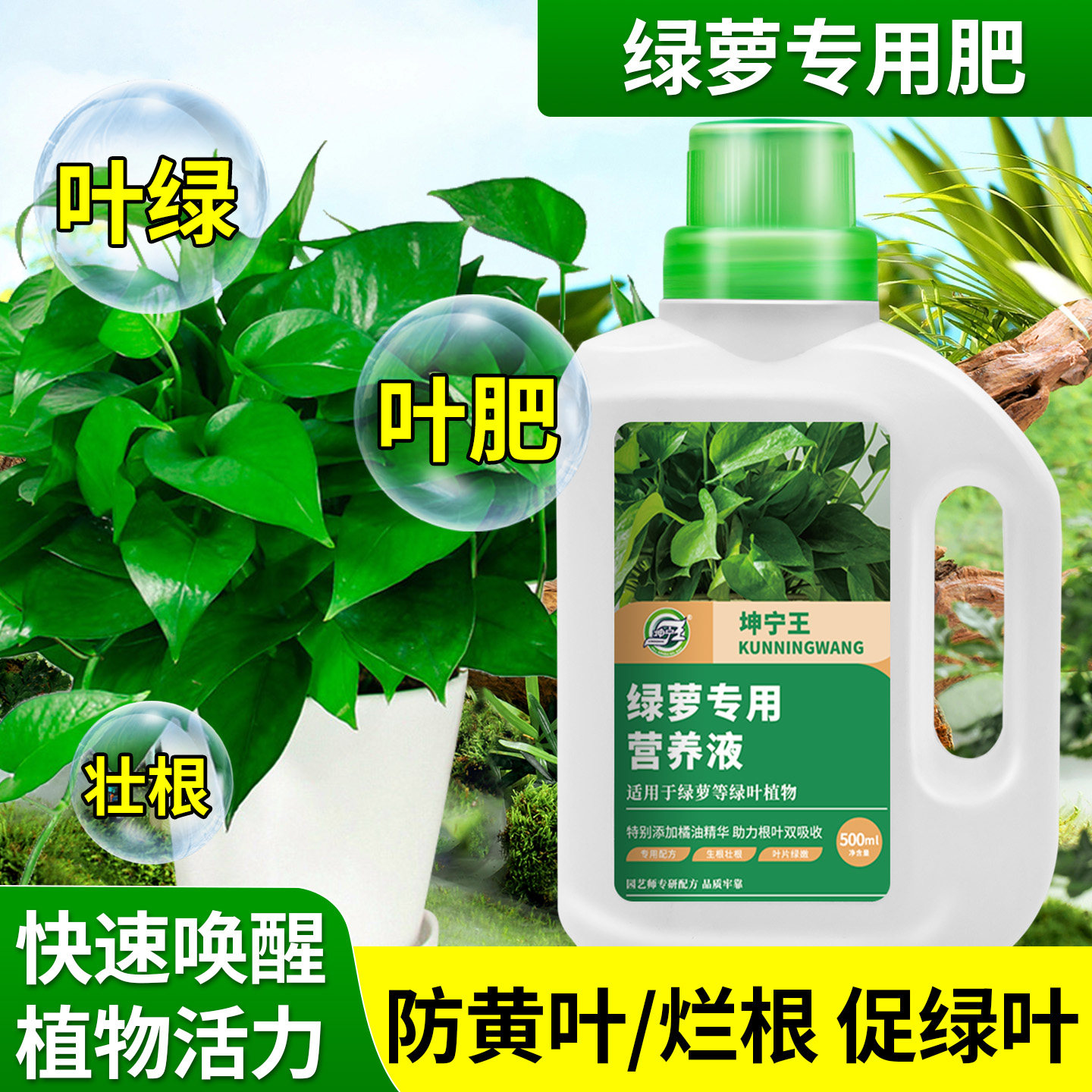 绿萝专用营养液水溶肥叶肥500ml植物专用肥料促绿叶壮根灌根喷叶,鲜花速递/花卉仿真/绿植园艺,家庭园艺肥料,淘宝优惠券,粉丝福利购,淘宝优惠卷
