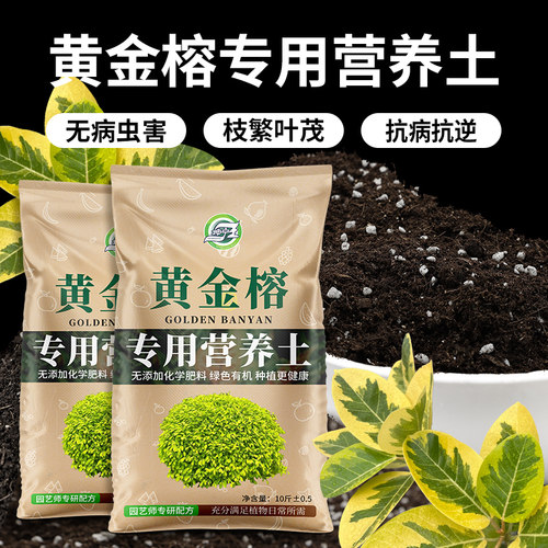黄金榕专用土有机肥料营养土