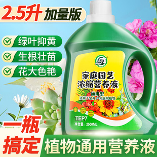 坤宁王植物营养液通用型绿植浓缩养花肥绿萝盆栽肥料花卉再生剂肥