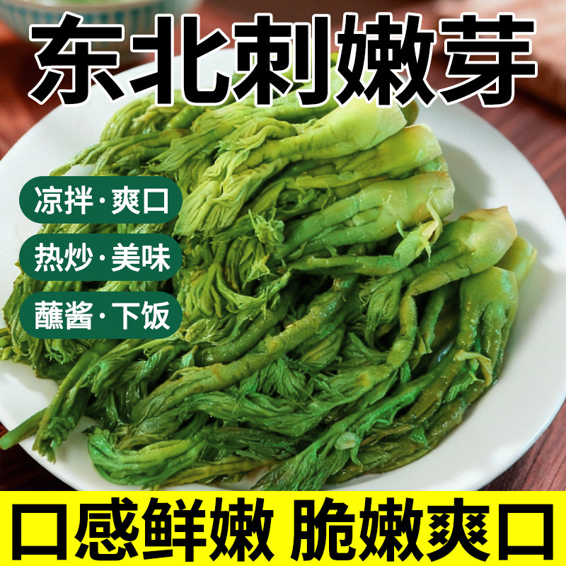 东北特产刺嫩芽2025新鲜头茬野生山野菜刺老芽龙芽野山珍春菜山菜