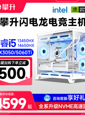 攀升兄弟闪电龙13代I5 13450HX/I7 13650HX/3050/5060/5060TI台式电脑主机高配悟空电竞游戏直播设计师台式机