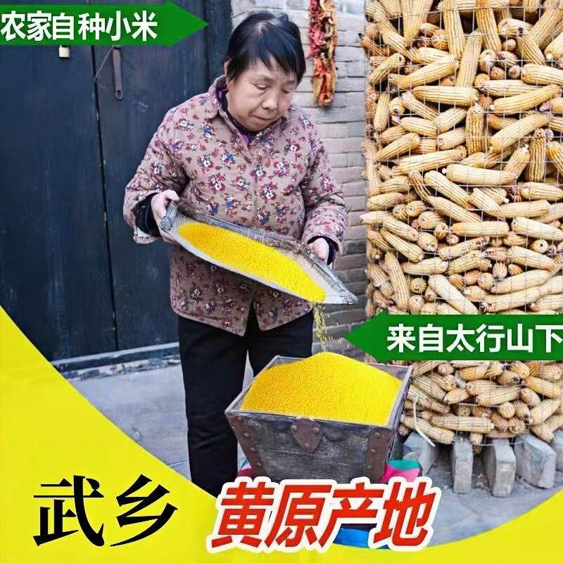 山西武乡农家黄小米脱壳杂粮