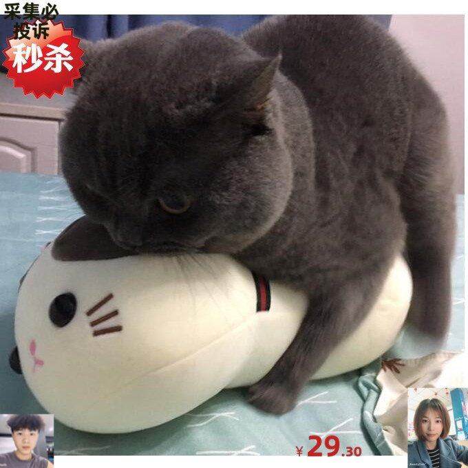 宠物公母猫性发泄玩具仿真猫咪发声会叫公猫发情期陪睡性仿真伴侣