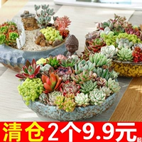 Плохой цветочный горшок с крупно -калибром грубым гончарным мясо