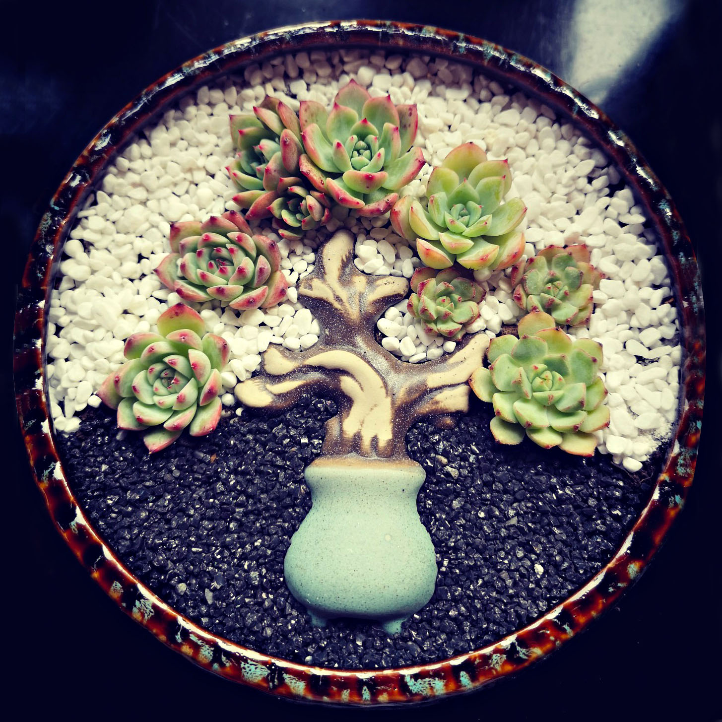 不梵陶瓷多肉花盆大口径拼盆带陶瓷树枝多肉植物盆园艺造景小摆件