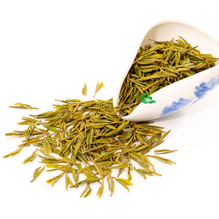 广元黄茶2025明前黄茶 高阳茶叶150g袋装