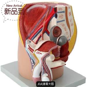 男性婚检有哪些项目 婚前检查具体是什么