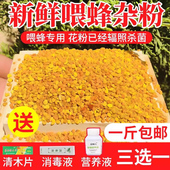 花粉喂蜂养蜂中蜂专用蜜蜂花粉浆养蜂饲料油菜花粉末蜂花粉豆粉