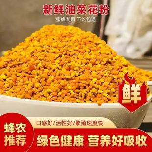 油菜杂粉颗粒状蜂粮养 蜜蜂饲料喂蜂正品 养蜂花粉 包邮