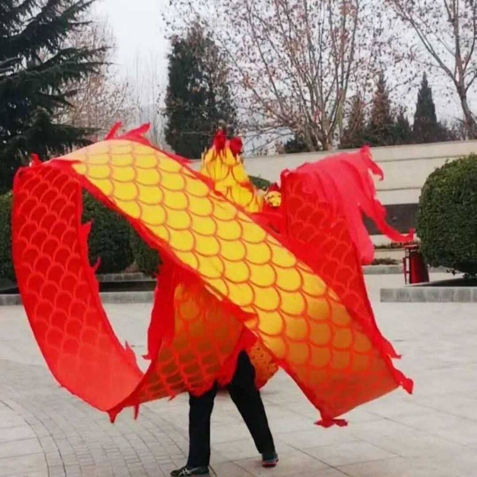 舞龙甩龙带龙头彩带耍龙中老年人健身广场舞健身龙单人舞龙甩龙