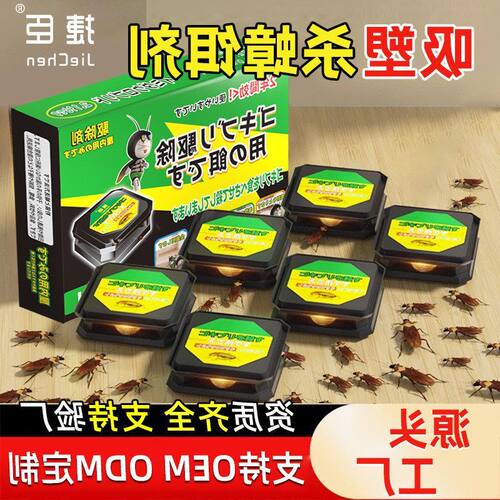 诱饵杀家用蟑螂屋小黑捷臣蟑螂