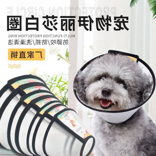 宠物伊丽莎白彩色猫咪项圈圈犬