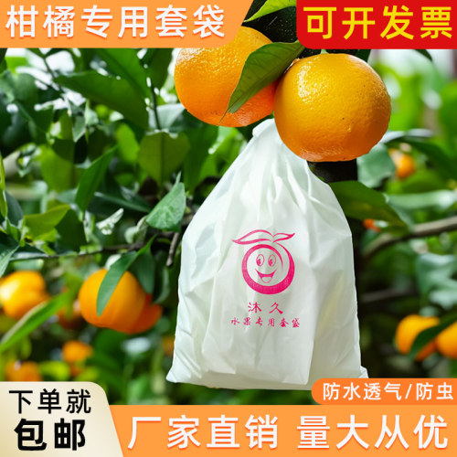水果套袋柑橘套袋专用袋