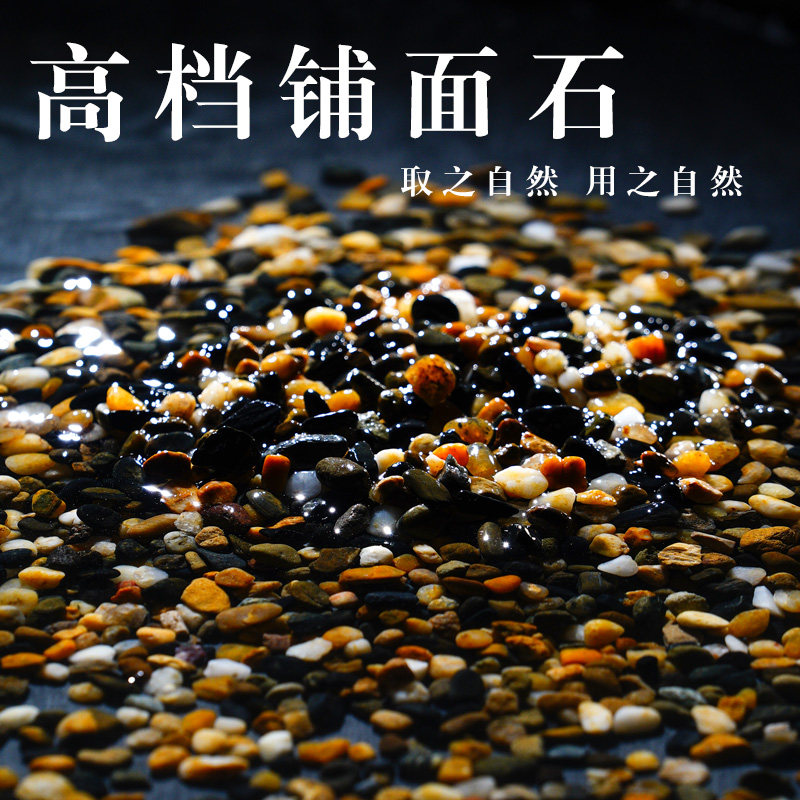 5斤多肉铺面石植物花盆里面放的小石头石子地面养花专用天然原石