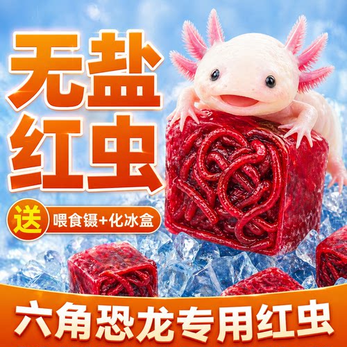 六角恐龙红虫冰冻鱼食开口底栖鱼