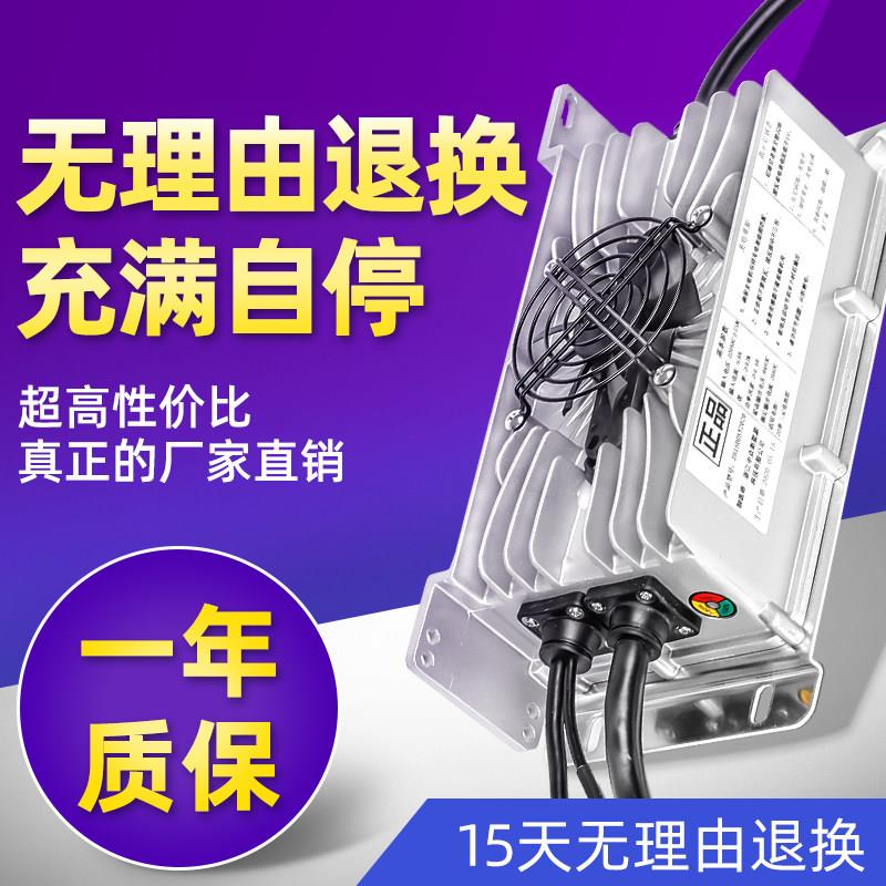 适用鸿日金彭雷丁御捷道爵比德文大阳丽驰电动四轮车锂电池充电器