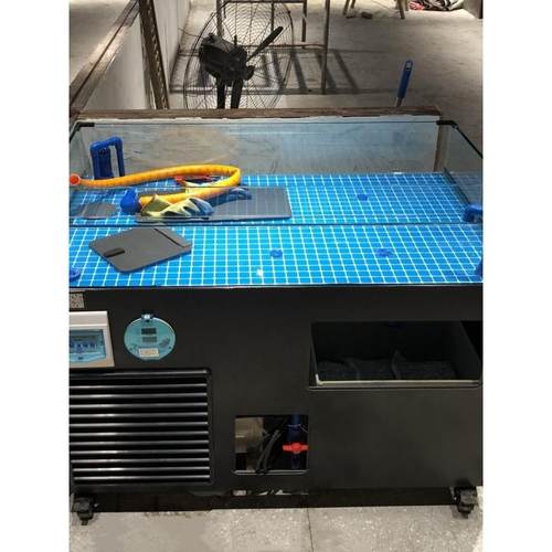 贝类池移动海鲜鱼缸制冷机一体龙虾贝类养殖专用海鲜缸海鲜池商用