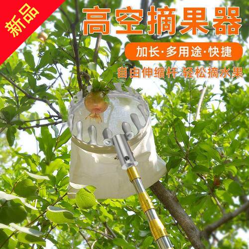 摘水果伸缩杆李子柿子枇杷果子