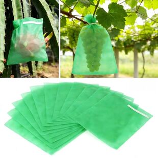 Fruit Insect and Bird Proof Bag Is A Practical Protective To