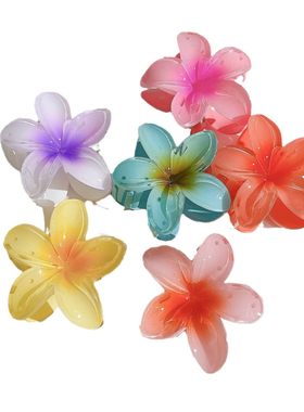 Grab clip Flower hair clip large disc women's accessories 夹