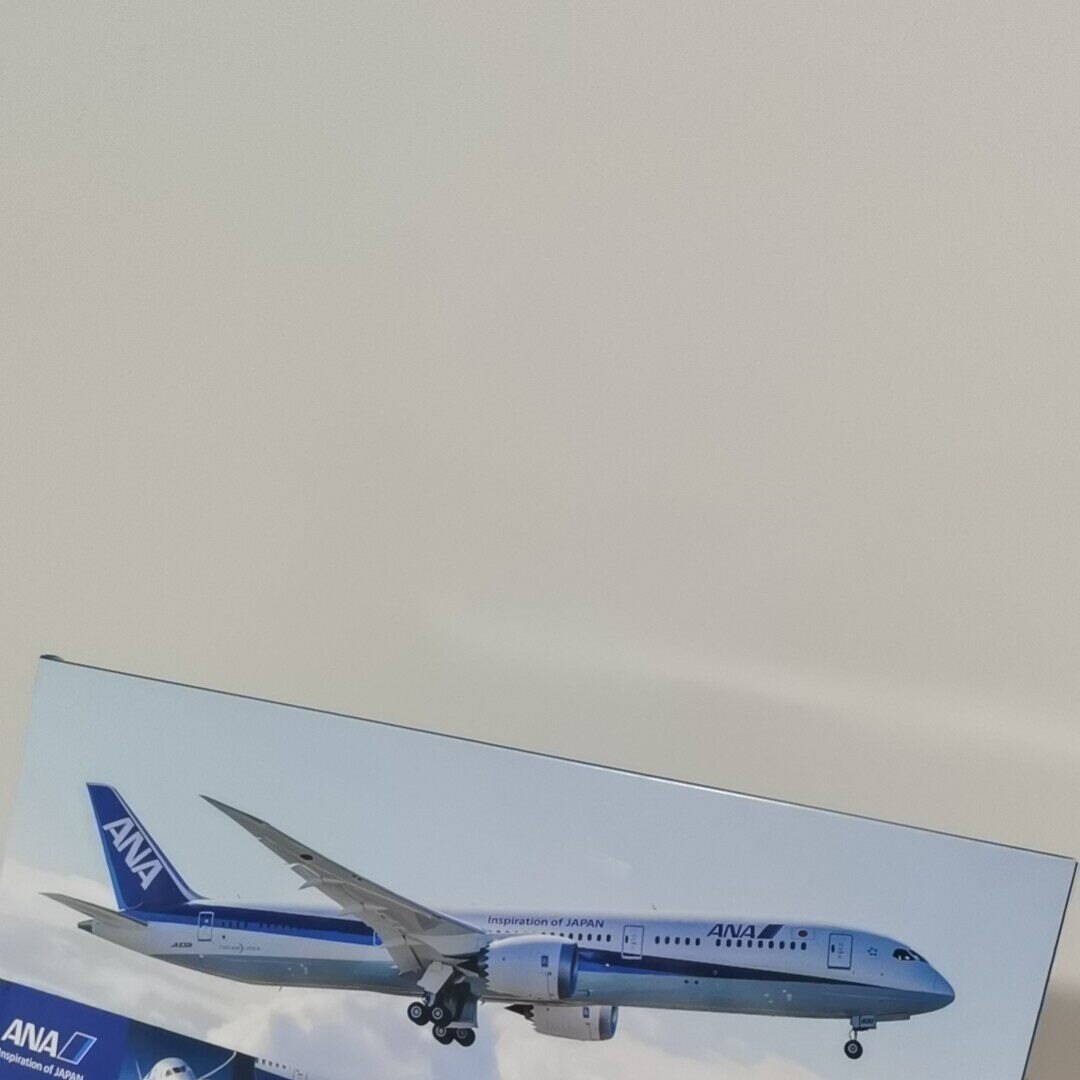 全日空航空机模，飞机模型物品，航模/直升机/飞机模