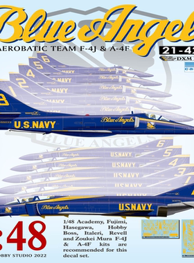 DXM 1/48 Blue Angels 水贴，适用于A-4F & F-4J 空中特技队模型