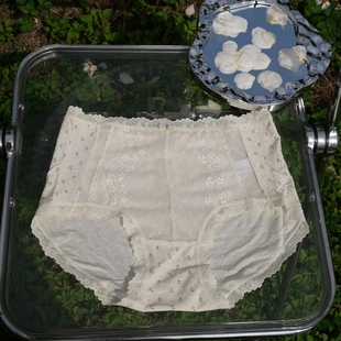 女纯棉底档抑菌包臀不夹臀 碎花纯欲蕾丝边中高腰内裤 2025新款 法式