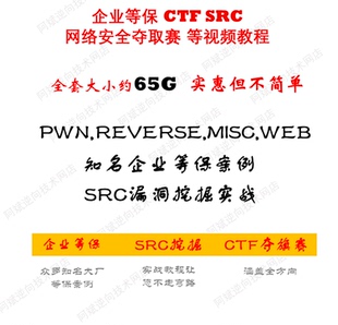 网络安全企业等保SRC漏洞挖掘代码审计CTF夺旗赛题库真题视频教程