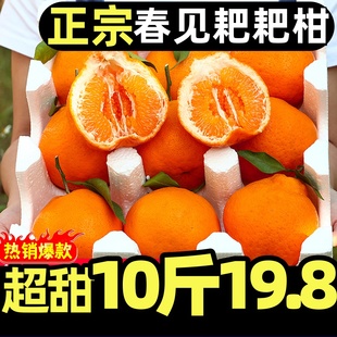 正宗四川眉山春见耙耙柑新鲜水果应季粑粑柑丑八怪橘子桔子现摘发