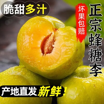 【顺丰/京东】贵州果园直发蜂糖李果园新鲜采摘脆甜多汁现摘