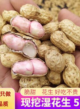 2026年现挖湿花生新鲜花生带壳带泥粉皮红皮花生可水煮新鲜湿花生