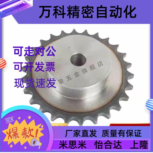 SP40B23/24-N-12 14 15 16 17 18 19 20 22 24 25 2830链轮