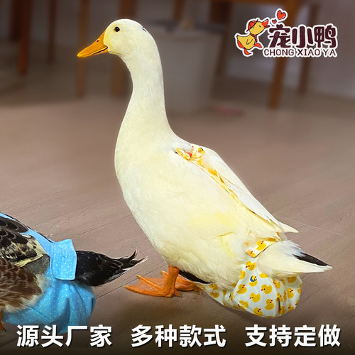 新款宠物鸭子纸尿裤尿不湿防拉屎粪兜鸡鹅用品柯尔小黄鸭衣服尿片