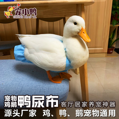 网红宠物鸭尿不湿鹅鸡尿片粪兜