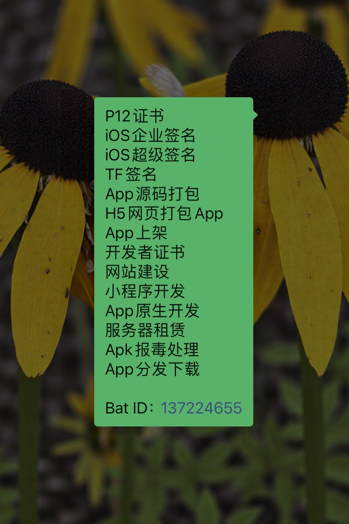 企业签名TF签上架H5网页封装打包分发App过白分发网站开发建设