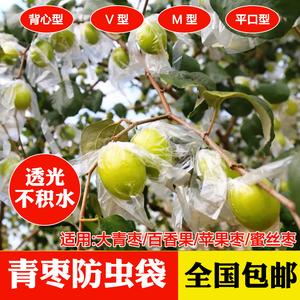 青枣套袋大冬枣牛奶蜜丝枣苹果枣袋子百香果专用套袋水果透明套袋