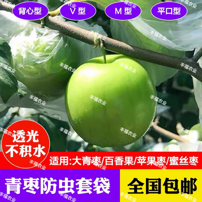青枣套袋大青枣专用防虫套袋