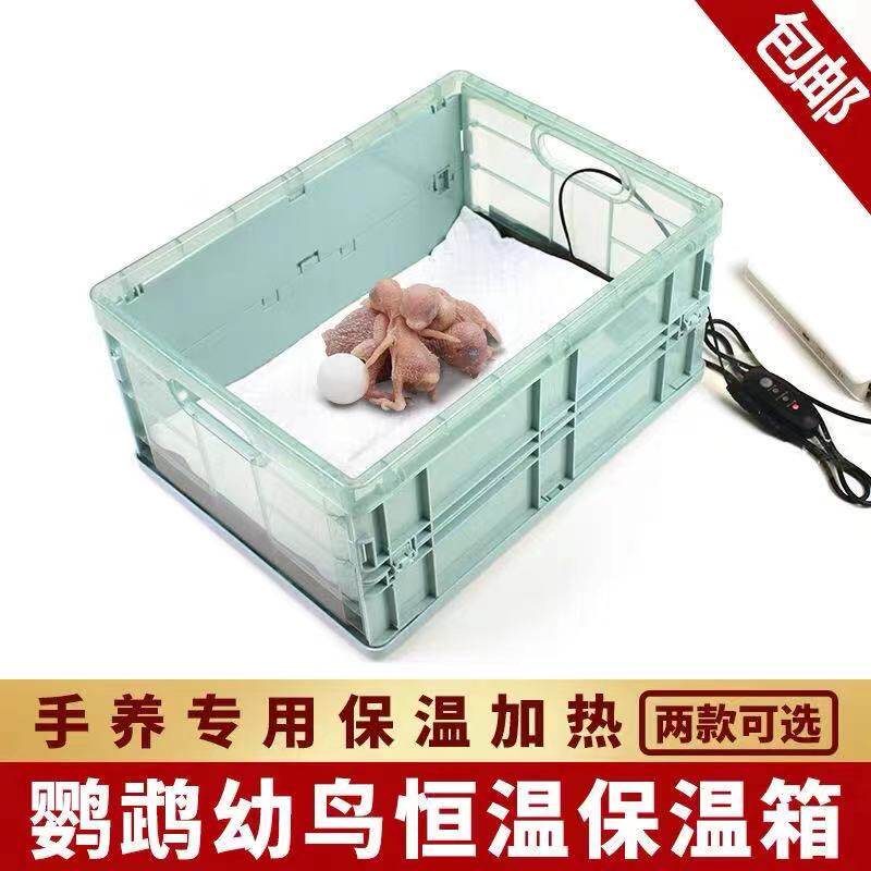 牡丹玄凤幼鸟雏鸟手养鹦鹉专用鸟窝过冬保温箱加热便携式恒温迷你