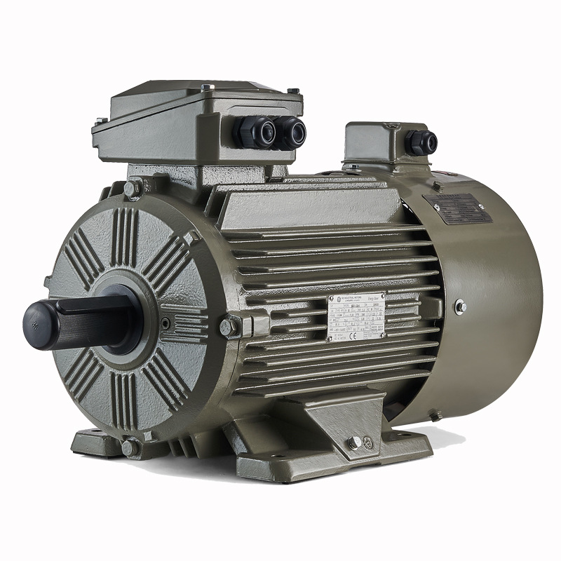 卧龙 WEBP变频调速三相异步电动机BPY电机