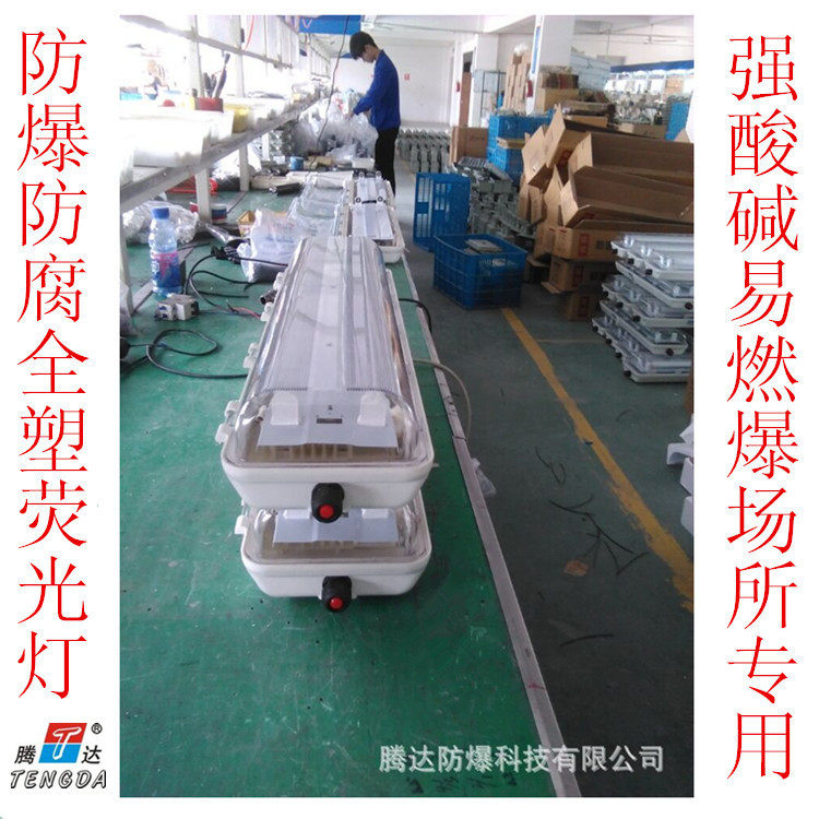 恶劣场所防爆防腐日光灯 双管荧光灯 t8单脚日光灯厂家