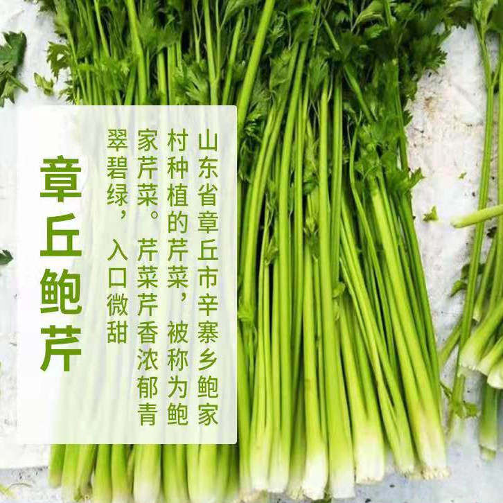 章丘鲍芹正宗山东特产泉水灌溉 春天青菜精选榨汁水果芹菜