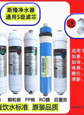 通用斯隆纯水机滤芯净水器天使雅仕如意翰林清新丽影款水机过滤芯