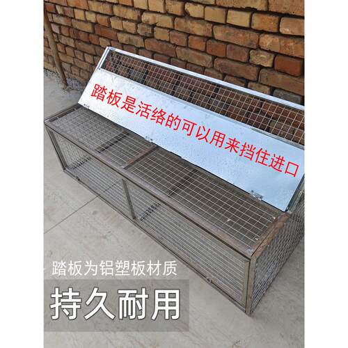 跳鸽笼不锈钢进出口赛鸽跳龙敲门信鸽进出自动跳鸽笼平台