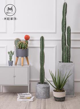 模拟规模仙人掌植物景观仙人掌砂绿色植物盆栽客厅民宿咖啡馆装饰