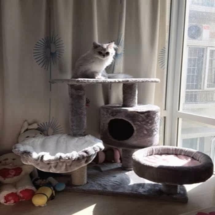 猫咪玩具猫树攀登爬架猫窝猫树环保刨花玩具豪华猫爬架大勺别畅销|ruв категории животное/Животное питание и принадлежностей, кошка/собака игрушка, кошка на раме - от Buy2taobao.com для оказания профессиональной услуги покупки агента Taobao