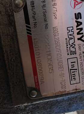 {议价}SANY 三一重工 V30GL205RD1FV2/LRDRE